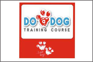 achill dog training